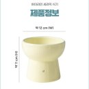 하이냥이 | 딩동펫 반려동물 하이라인 세라믹 식기, 바잇미 반려동물 전용 세제 내돈내산 후기