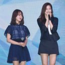 최유정 카카오 검색결과