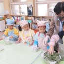 (학교)구정초 이미지