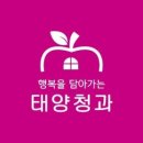 태양청과 이미지