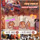 마츠리 | 경기도 가볼만한곳! 니지모리스튜디오 아키마츠리 가을축제 후기 데이트 코스 추천