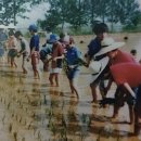 원장목장 이미지