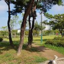 청수호수공원 이미지