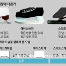 춘천실내빙상장 이미지