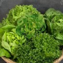 더드림농장 이미지