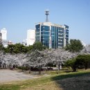 마재근린공원 이미지