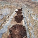 행복한 굼벵이 마을 이미지