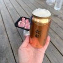 덕은상사 | [당진] 소난지도 난지섬쭈꾸미 캠핑장 (데크2)