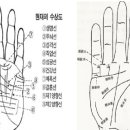 손금 보는법 재물운 생명선 손금보기 손금보는방법 이미지