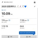 완주군 공설운동장 | [마라톤] 2025 단양 달빛레이스 / 10km 완주 후기