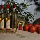 사과랑관광농원 이미지