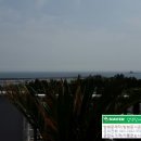 제주엘림하우스 이미지