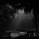 한 여름밤의 꿈 | 제목 : 한 여름밤의 꿈