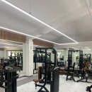 머슬 타임 이미지