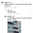 속초언니