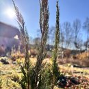 블루엔젤 하우스 | 당첨후기