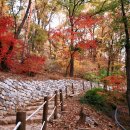 더 스카이 세차장 이미지