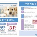 HK 저축은행 데일리안