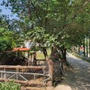 은하커피숍 이미지