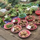 해운대전통시장 이미지