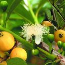 선아농장 이미지