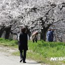 백구소공원 이미지