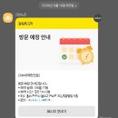 베베펫 천안 애견미용 | 천안 애견미용 이바우펫 방문 후기 | 폭염 속 마리 여름 준비 완료🐶✂️