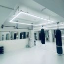 컬러킥앤복싱 이미지