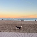 바르셀로나 여행 🇪🇸 바르셀로네타 해변 일몰 너무예쁘다🥹 꼭가세요!! 핑크빛 하늘💕 후기