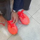 팜호텔상가건물 | 2025 오클랜드 마라톤 11k 후기 및 신청 방법