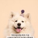 펀앤베네핏스튜디오 이미지