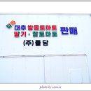 카페돌담