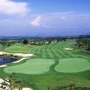 에버리스CC 이미지