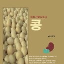 보리콩이네 이미지