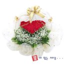 서울산업대학교 | 공릉동꽃집 꽃이있는세상 가격 위치 영업시간
