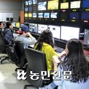 가락동농산물 이미지