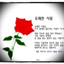 감동만두 이미지