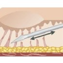 시즈의원 이미지