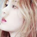 쎄시 이미지