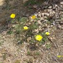 이천매곡초등학교 이미지