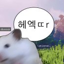 팔 가정용제모기로 조진지 4년정도 됐는데 이미지