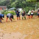 삼척남초교 이미지