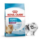 로얄퍼피 이미지