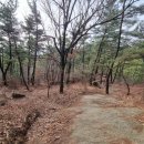 태안향교(태안초) 이미지