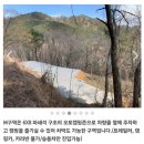 [인제 캠핑] 2024년 처음이자 마지막 가을 캠핑 필례 게르마늄 온천 캠핑장, 오아시스정글 (M 사이트)