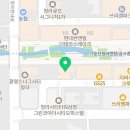 네코스토리(인천 청라점) 강아지 고양이 무료 보호 무료 입양 이미지