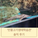 가볼 만한 곳] 양평 양떼목장 가기 전 들린 '민물고기생태학습관' 솔직 후기 (아이와 가볍게 갈만한 곳)
