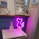 수원 아가마미고양이카페, 고양이 카페 방문 후기