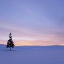 오성세탁 이미지