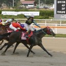 빛 시리즈 이미지